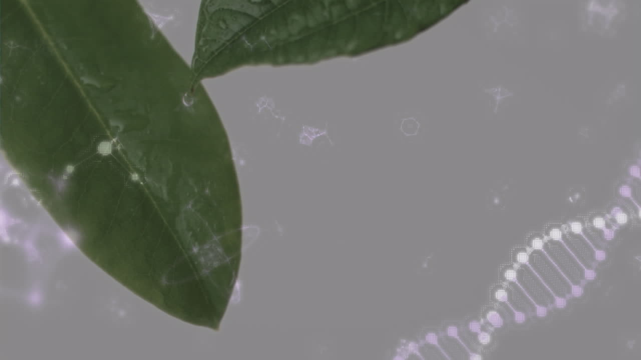 잎 위에 회전하는 dna 가닥의 애니메이션