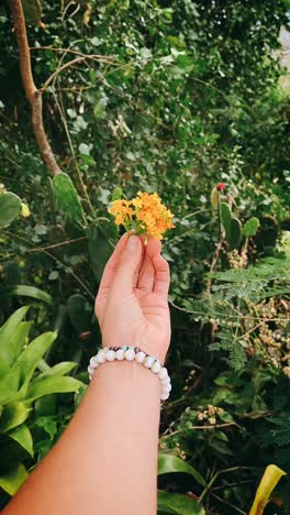 mano sosteniendo un pequeño racimo de flores de naranja en el jardín