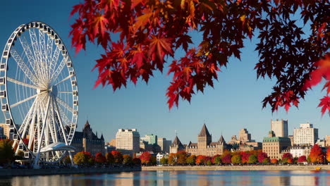 montreal skyline with la grande roue ferris wheel and autumn foliage by the st. lawrence river