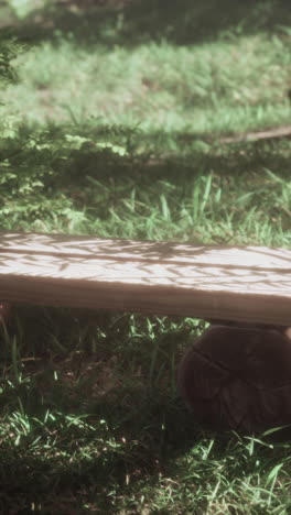 a wooden bench in a forest setting