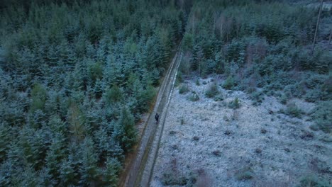 Top-View-Of-Person-Hiking-On-Road-In-Heart-Of-Snowy-Wild-Forest,-Svitavy,-Czech-Republic