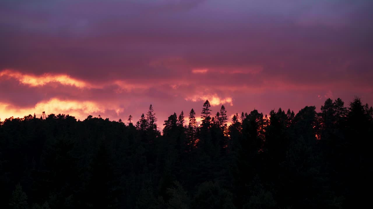 árboles del bosque en silueta contra el cielo nublado de la noche en noruega