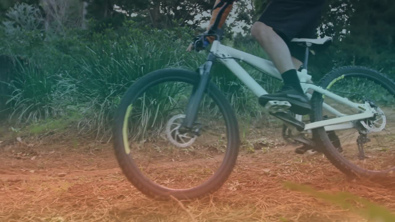 animación de un hombre caucásico en bicicleta en el bosque
