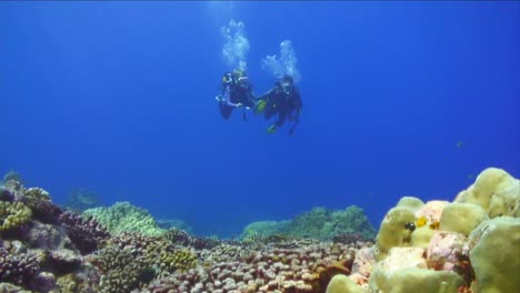 under water stock footage