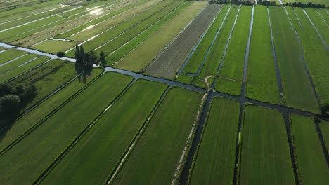 Vista-De-Drones-Sobre-El-Verde-Y-Fértil-Paisaje-De-Pólder,-Krimenerwaard