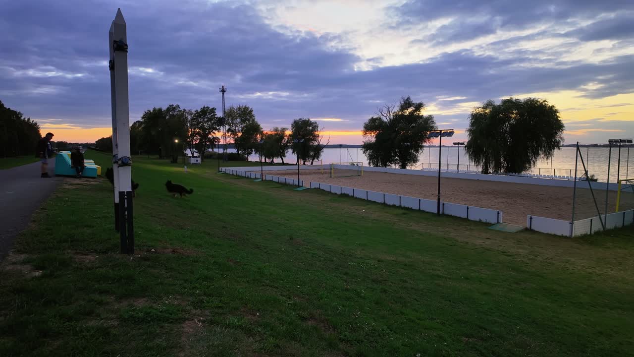 Two Long-Haired German Shepherds dogs run, catch and return wooden sticks thrown by their owner on the green fields of Abadszalok Beach during a beautiful twilight at Lake Tisza in Hungary.