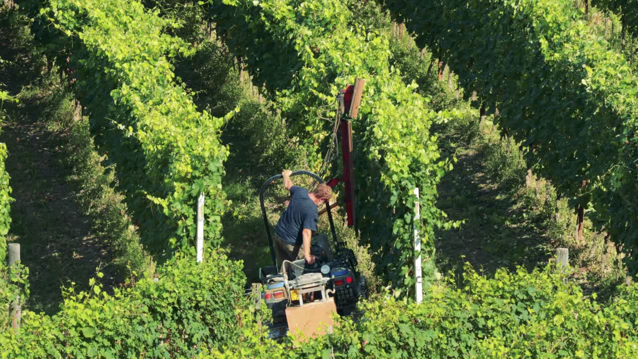Uomo che cura un vigneto con macchinari a Cuneo, Italia