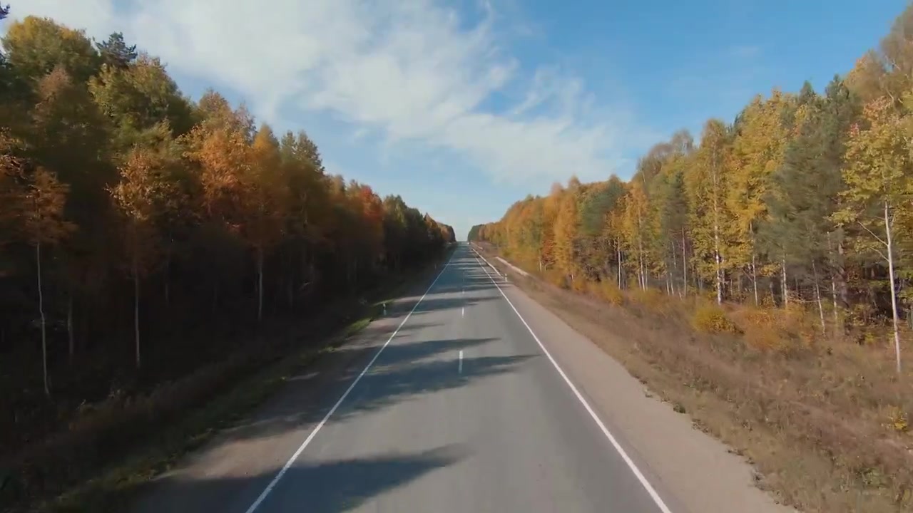 Letecký FPV pohled z dronu letícího nad rovnou prázdnou venkovskou dálnicí obklopenou zlatým podzimním lesem pod modrou oblohou, malebné pozadí pro cestování a dopravu.