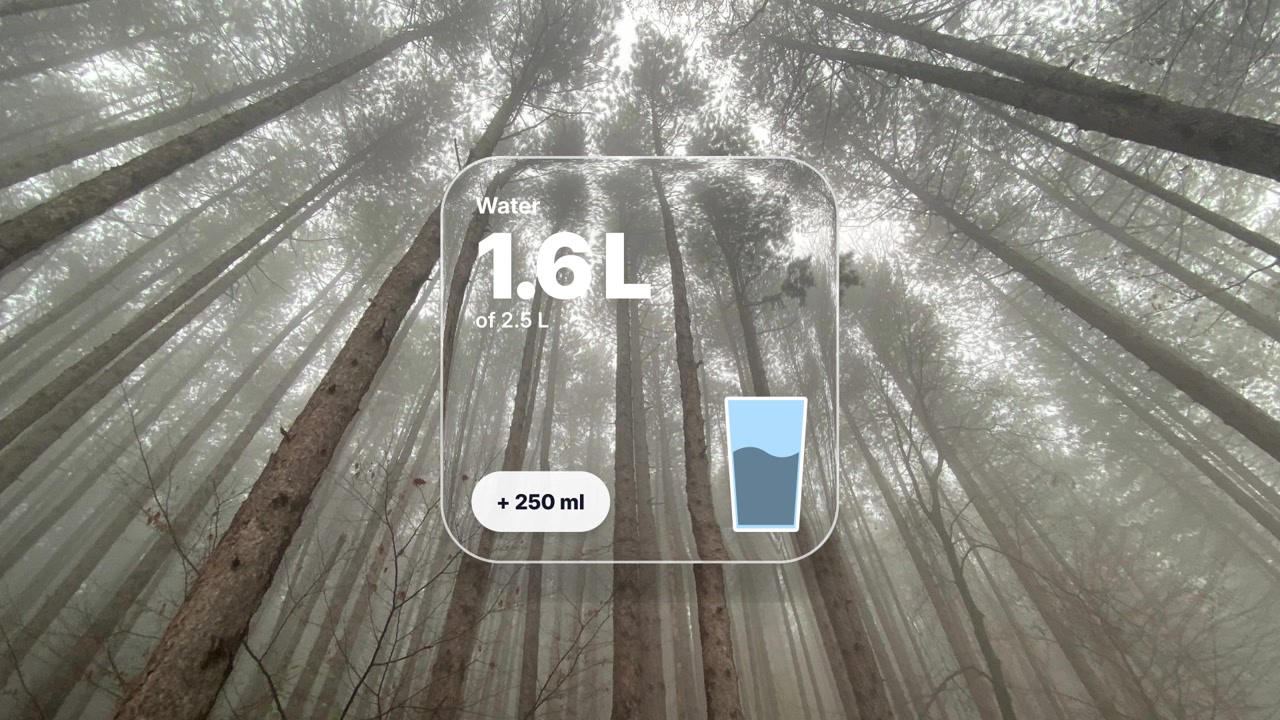 Digital Water Intake Tracker Overlay on Misty Forest Background