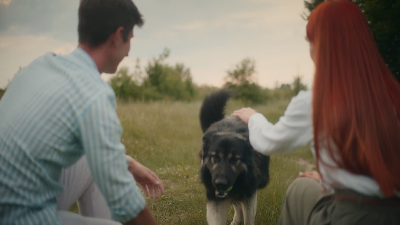 Dog playing fetch with people in a field