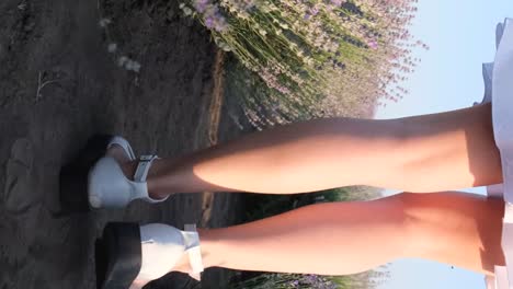 the young woman s legs scatter sand closeup camera follows her sea and beach at sunset the young woman s legs scatter sand closeup camera follows her sea and beach at sunset social media