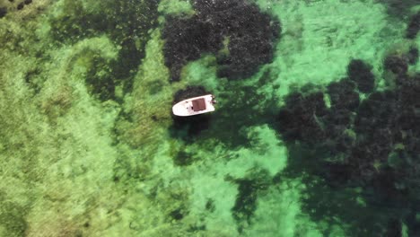 la antena ascendente revela un barco blanco sobre un arrecife en aguas cristalinas