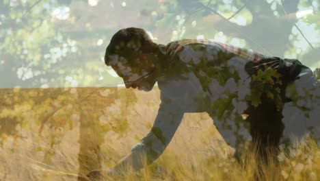 man checking hay on hay field