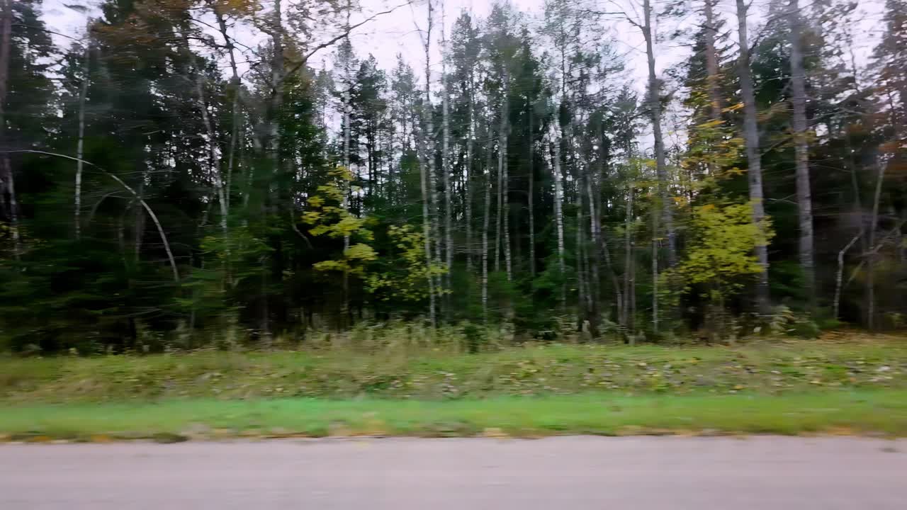 viajando por el camino rural de dahab, península de sinaí, egipto - pov