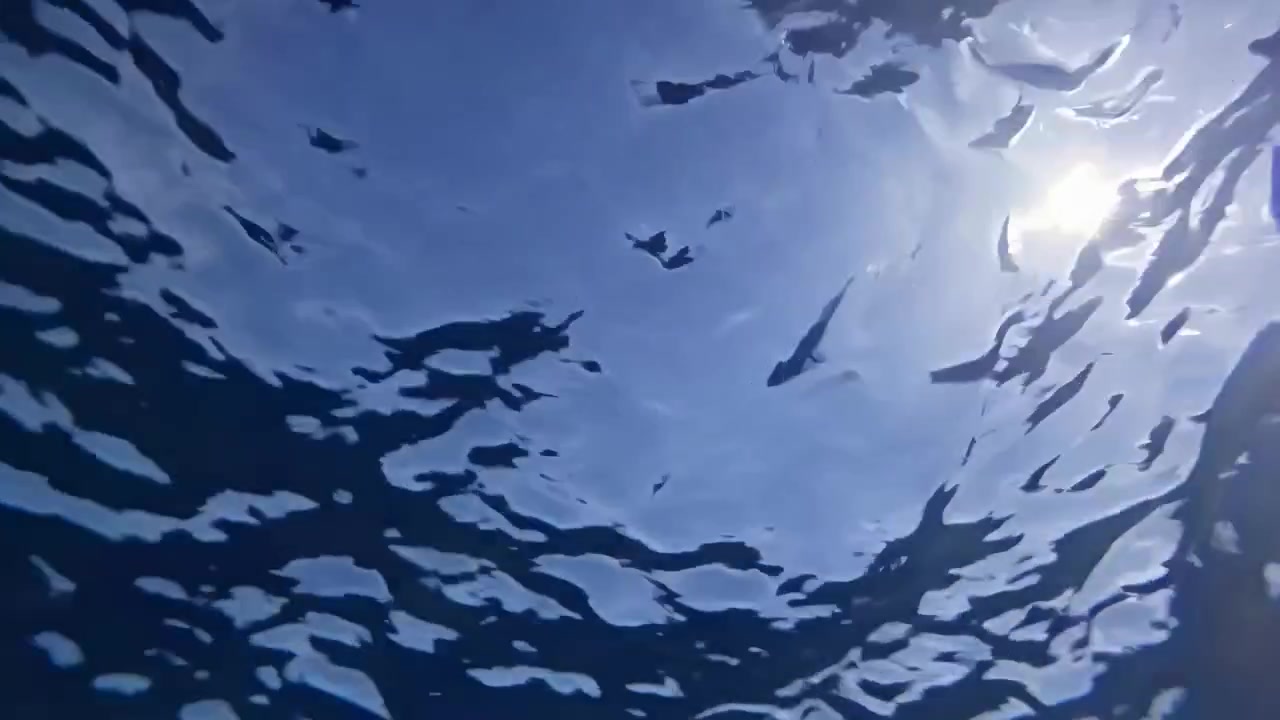 Sunlight Refracting Through Ocean Surface Seen From Underwater