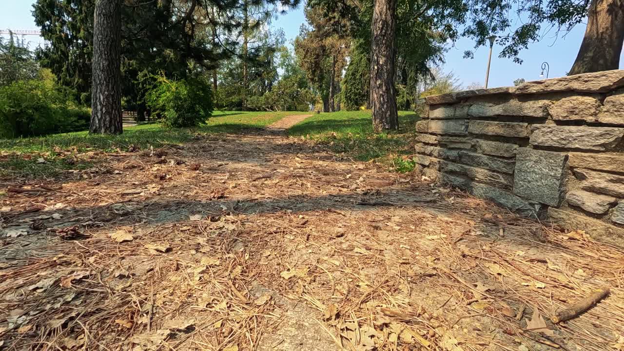 un paseo sereno a través de un parque de hojas