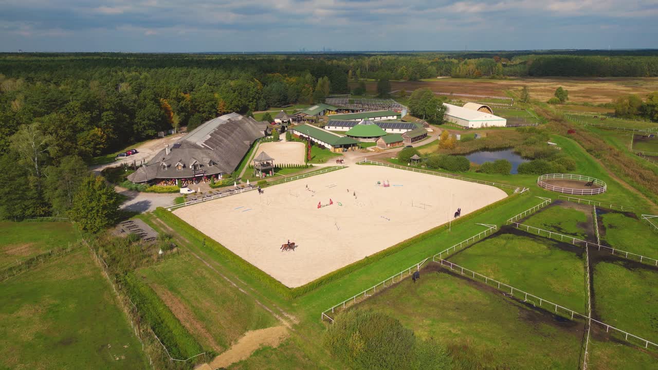grupo de caballos de pura sangre caminando y pastando en el paddock cerca del establo