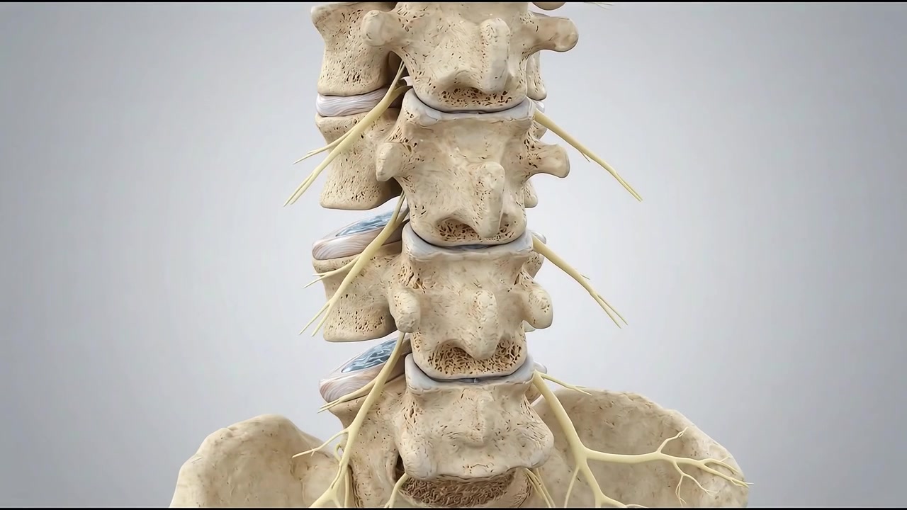 Vista interna del sistema nervoso che evidenzia una patologia