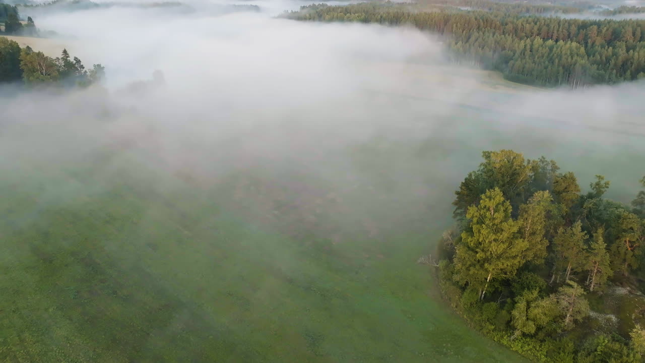 Aerial view tilting over a foggy field and trees, autumn morning in Finland