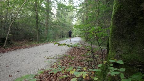 Un-Hombre-Explorando-La-Cascada-Martuljek-Durante-El-Día-En-Gozd-Martljek-En-Eslovenia-Y-El-Parque-Nacional-Triglav