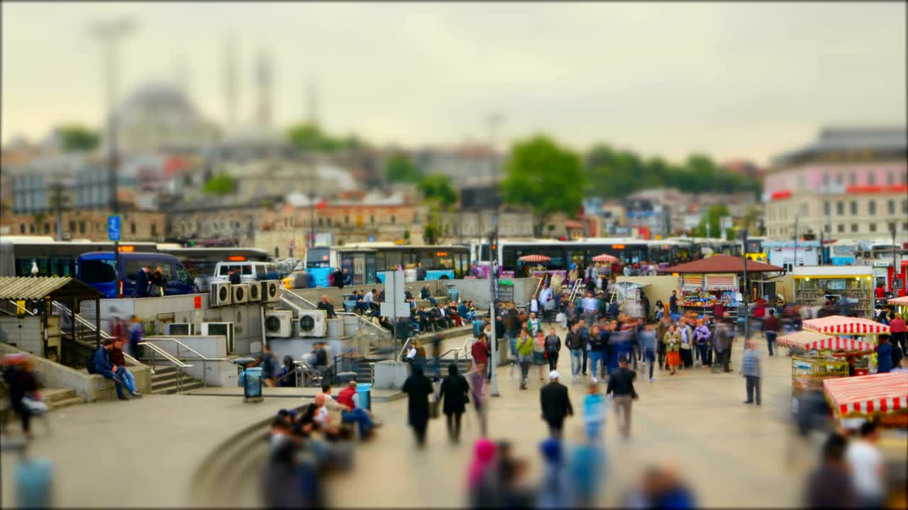 대규모 집단의 이동