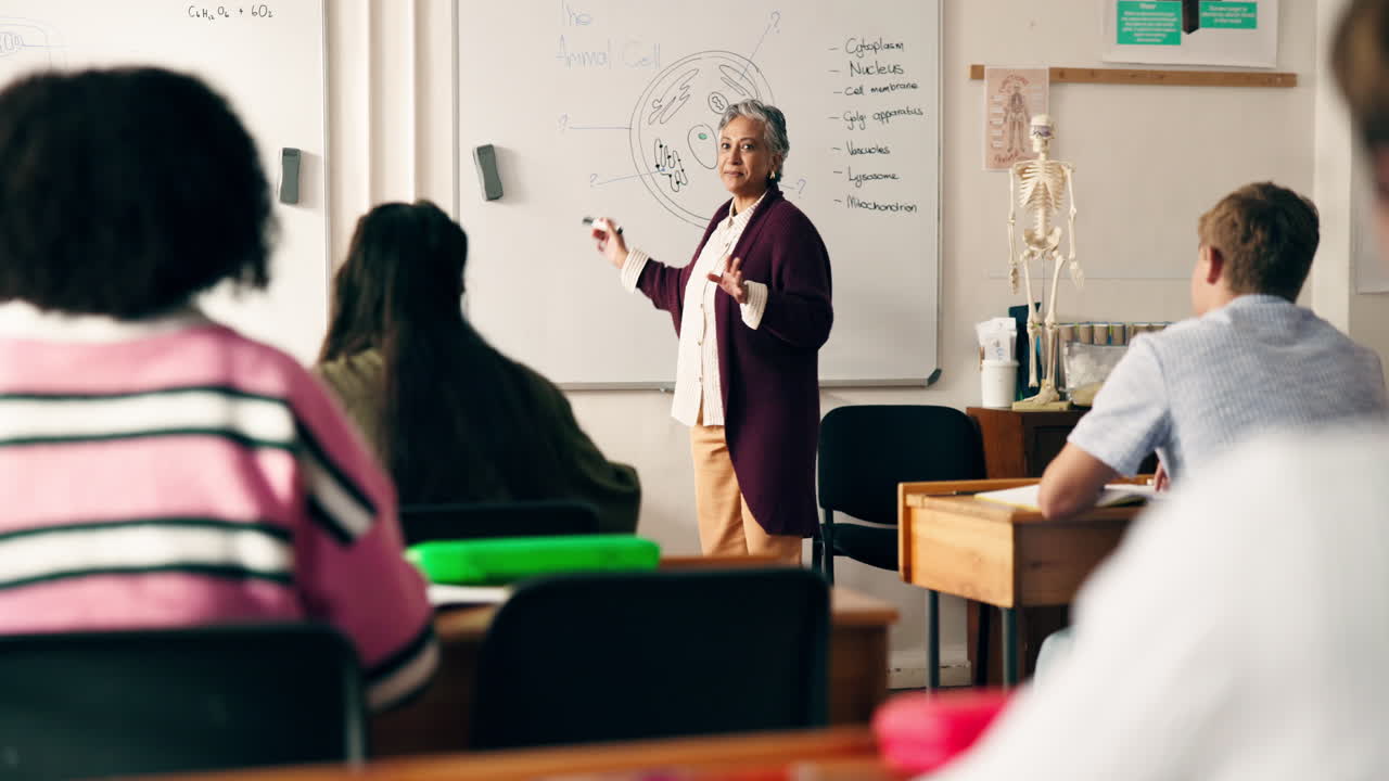 Classroom Scenes with Teachers and Students