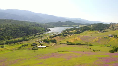 Vista-Aérea-De-La-Arveja-Floreciente-En-Las-Colinas-Con-El-Lago-Emigrante-En-El-Fondo