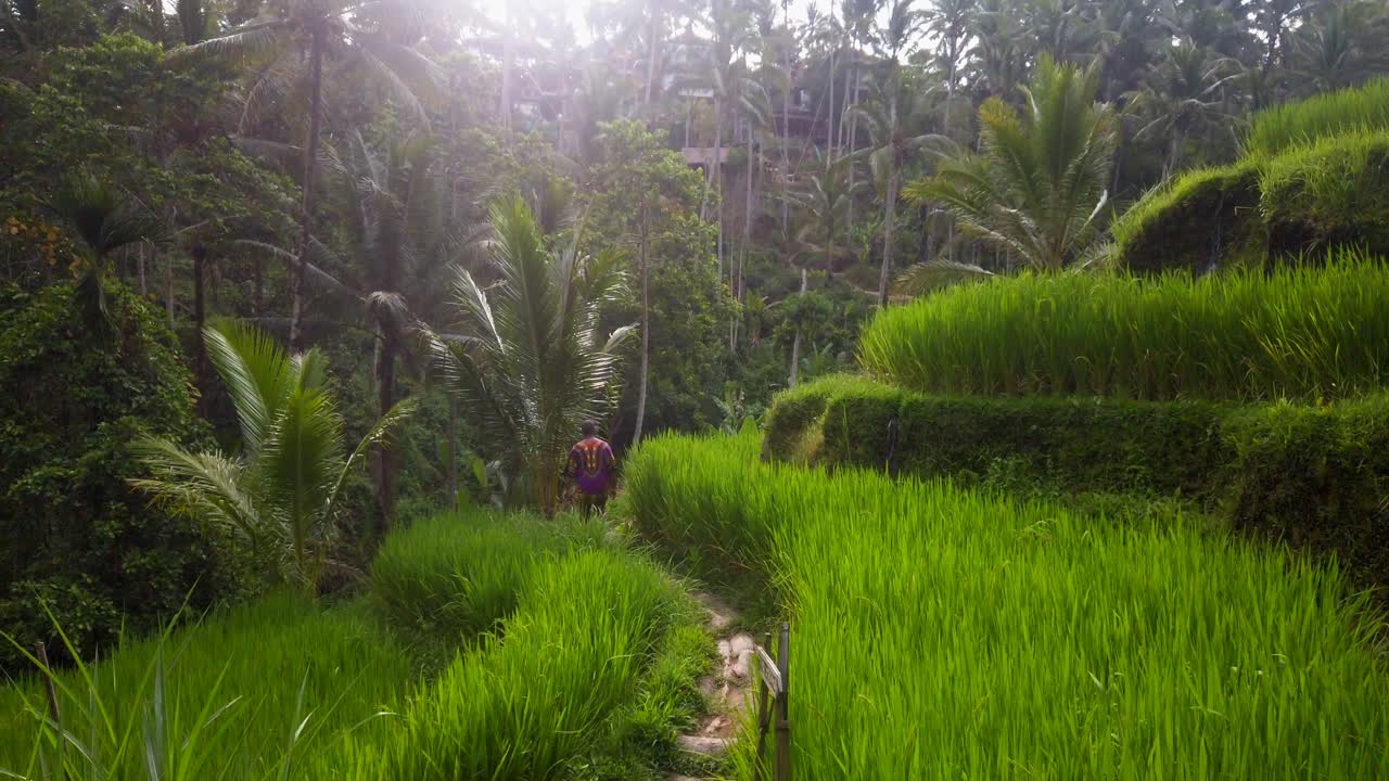 hombre camina en terrazas de arroz tegalalang durante la hora dorada en ubud, bali, indonesia-2