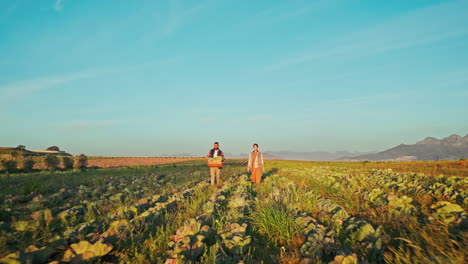 farm, agriculture and drone of people walking