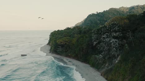 Luftaufnahme-Eines-Pelikannests-Am-Strand,-Fliegende-Vögel,-Kolumbien,-La-Guajira