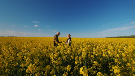 landwirte auf einem rapsfeld