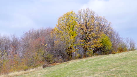 Paisaje-De-Montaña-De-Otoño