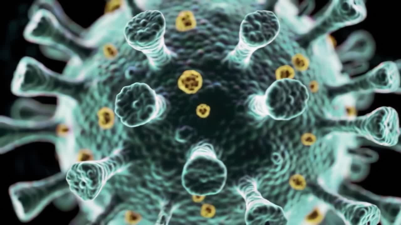 Microscopic Visualization of a Virus: An Intricate Close-Up of Viral Structure Highlighting Spikes and Genetic Material in Stunning Detail