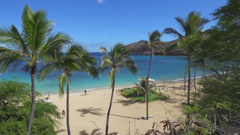 Hanauma-Bay-Oahu-Hawaii-Zeitraffer-Mit-Palmen-Und-Wellen