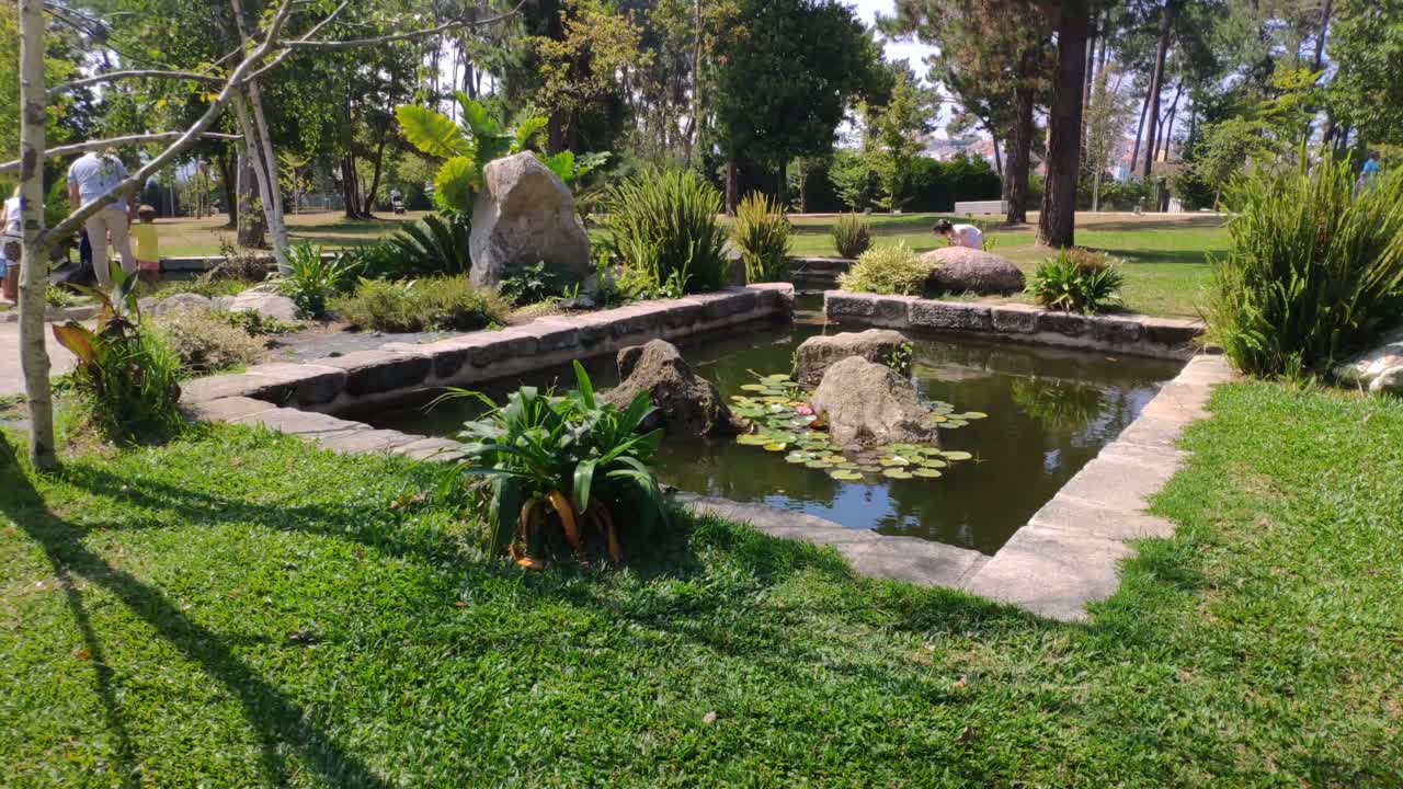 gente disfrutando del aire libre en el estanque rodeado de plantas en el jardín en una tarde soleada