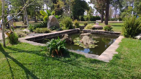 Menschen,-Die-An-Einem-Sonnigen-Nachmittag-Die-Natur-Im-Teich-Genießen,-Umgeben-Von-Pflanzen-Im-Garten