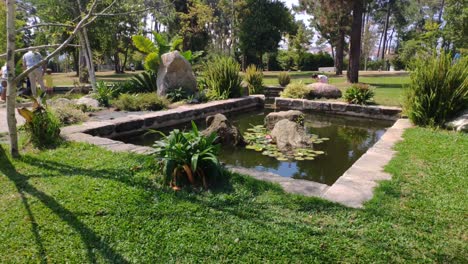 gente disfrutando del aire libre en el estanque rodeado de plantas en el jardín en una tarde soleada