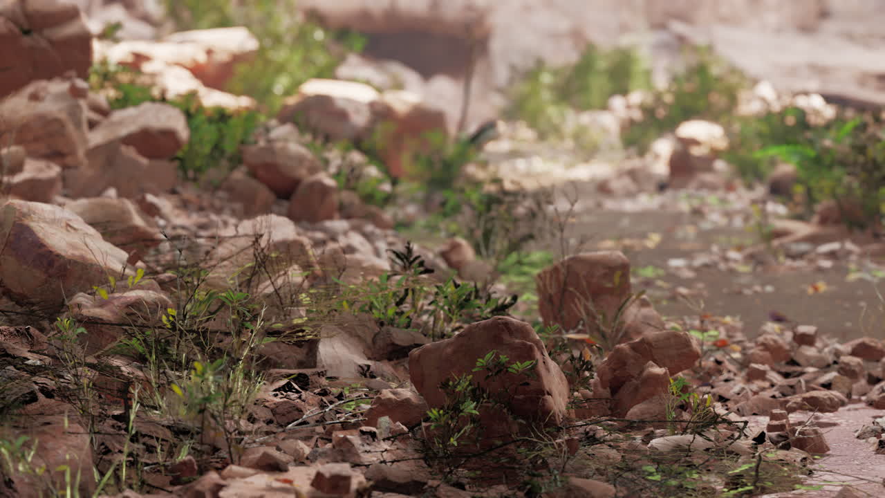 녹색 식물 과 출구 에 빛 을 가진 어두운 동굴 내부 에서의 전망