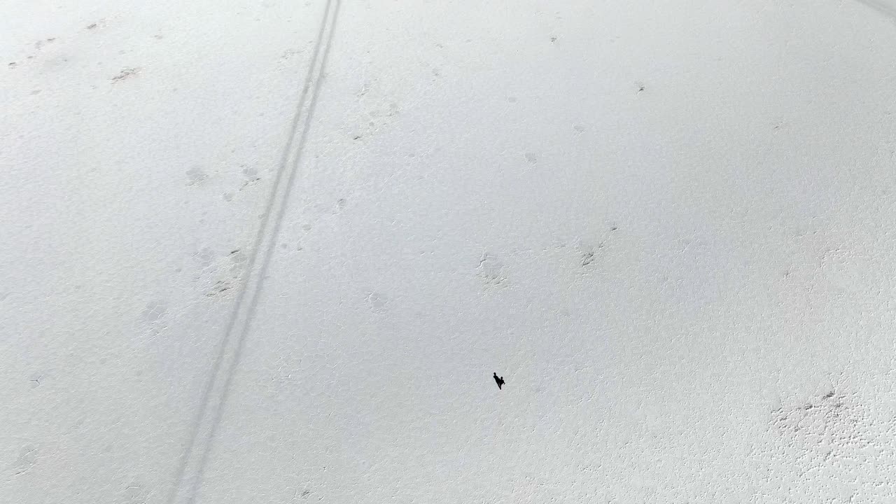 유유니 소금 평야의 광활함에 비해 은 외로운 인물.