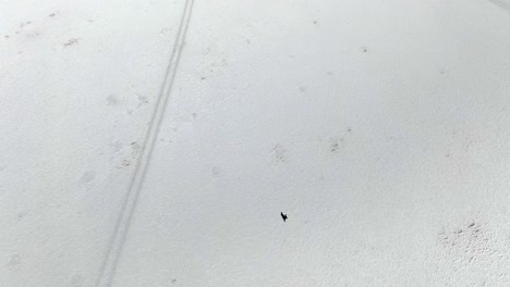 solitary figure dwarfed by the vastness of the uyuni salt flats