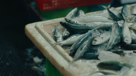 fish stall at the night market in the coastal city of vung tau