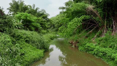 Aerial-flyover-tranquil-stream-in-green-lush-jungle-of-Tianliao-Moon-World-田寮月世界-in-Taiwan