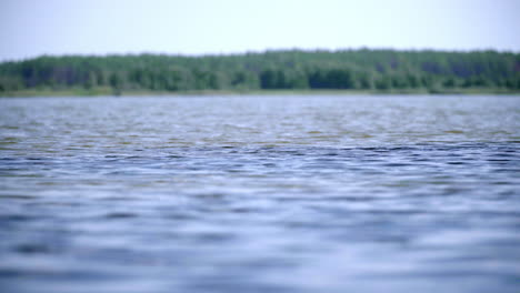 water surface with forest on horizon. beautiful forest lake with calm water