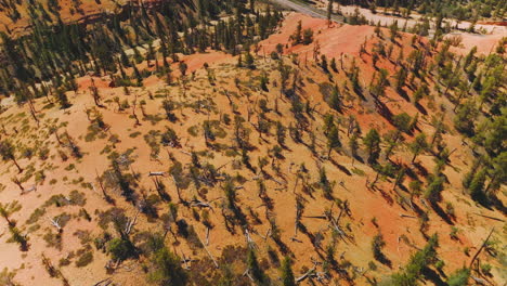 Aerial View of Red Rock Canyon and Forest
