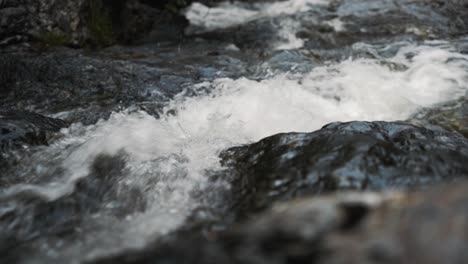 cerca de un río pequeño y rápido que fluye