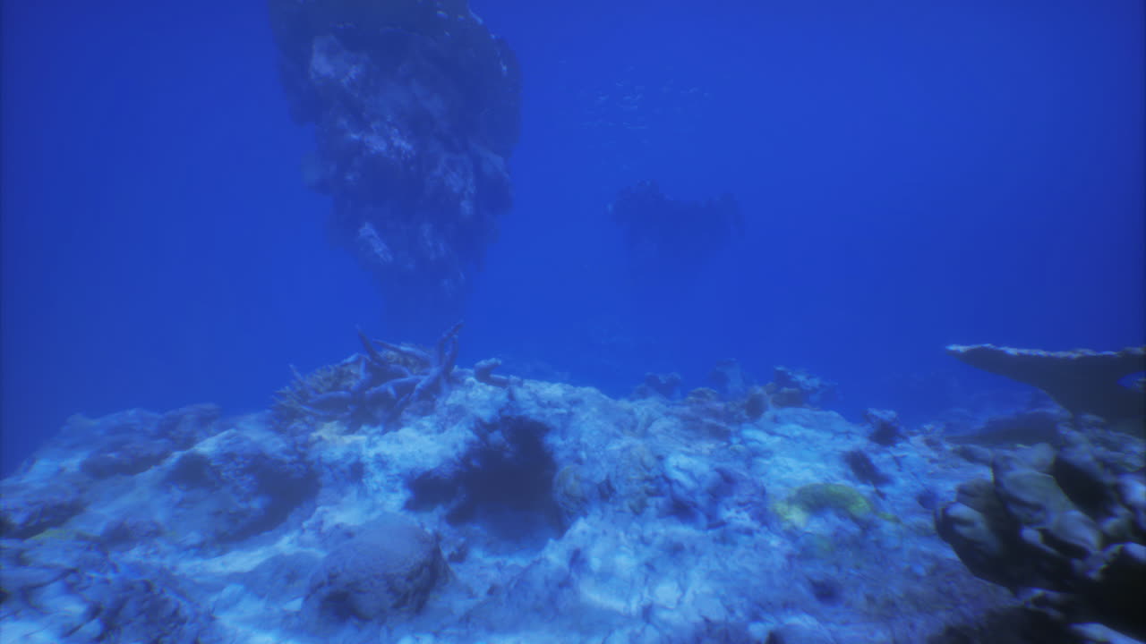 Underwater exploration showcasing vibrant marine life in a coral reef