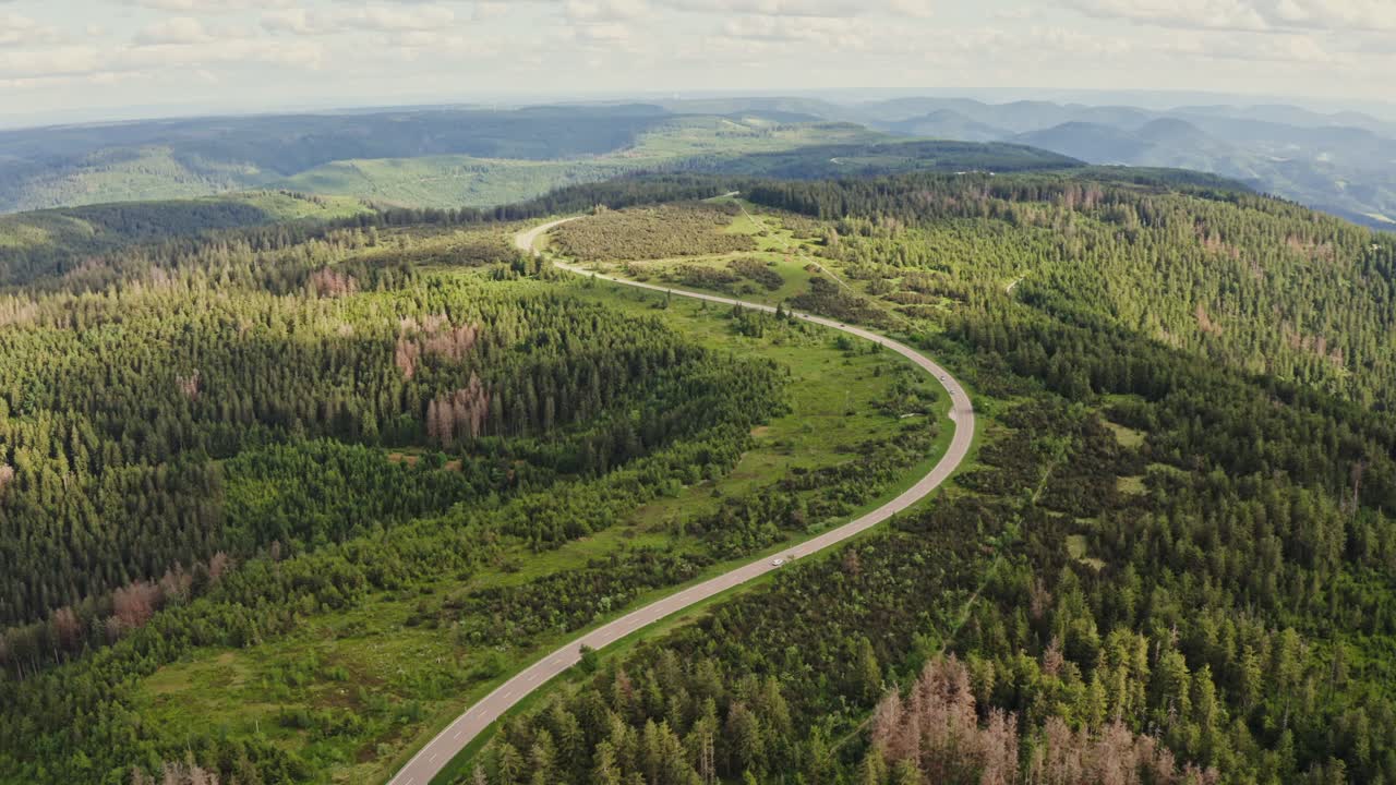 camino de montaña a través del paisaje forestal