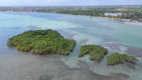 la isla de la matica es un hábitat de aves en la zona de playa turística de boca chica, república dominicana