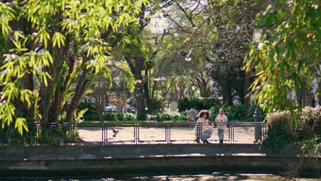 flock pigeons flying overhead woman squatting near little daughter in sunny park