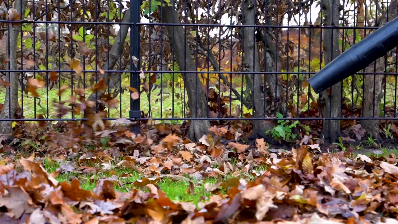 Soplador de hojas usado para limpiar hojas de otoño de una cerca en cámara lenta
